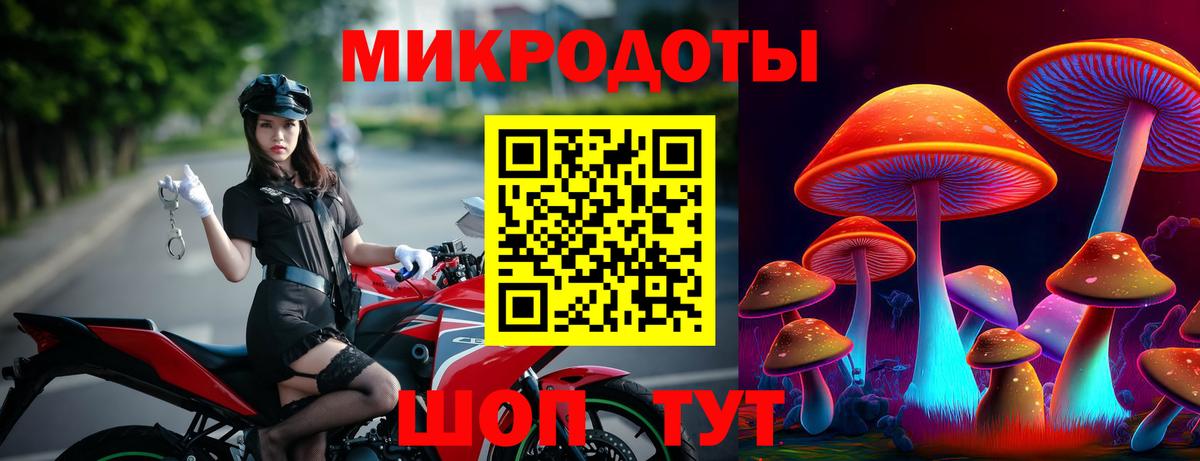 Галлюциногенные грибы Psilocybine cubensis Ейск